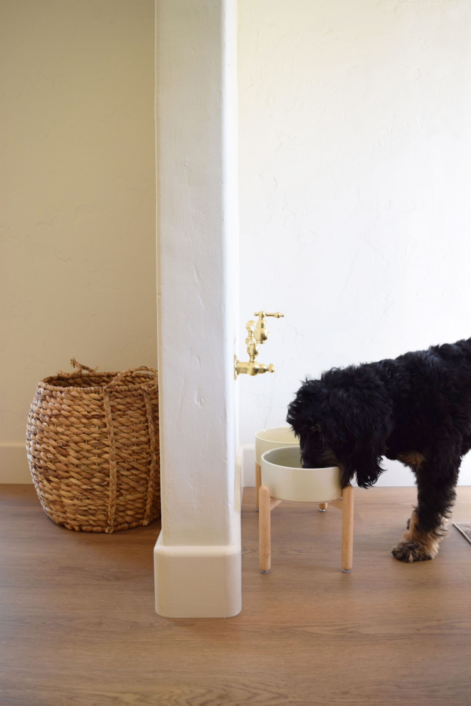Hallway nook with a woven basket and a dog drinking from a raised bowl beneath a brass faucet, DHRH West Side renovation